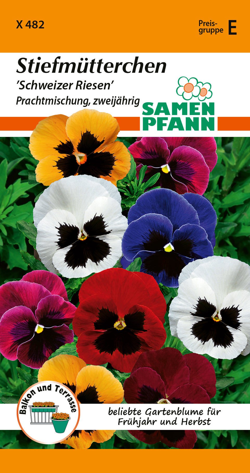 Samen Pfann Schweizer Riesen Stiefmütterchen