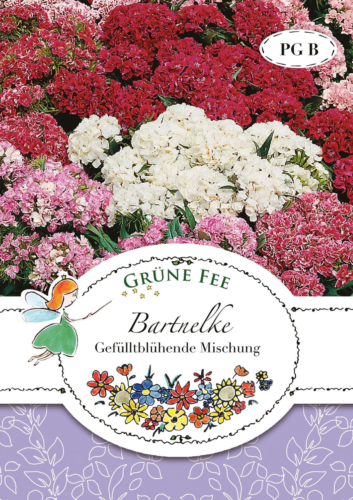 Grüne Fee Bartnelke Gefüllte Mischung