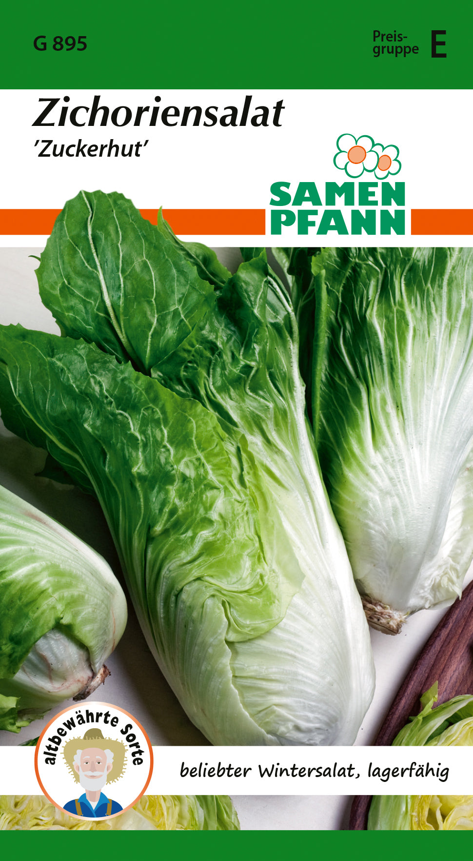 Samen Pfann Zichoriensalat Zuckerhut