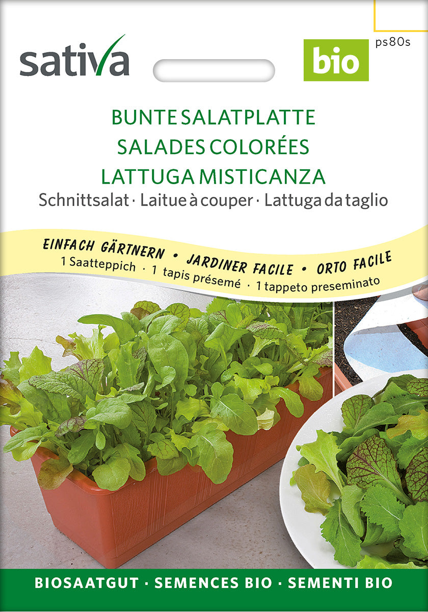 Sativa Schnittsalat Bunte Salatplatte Saatteppich