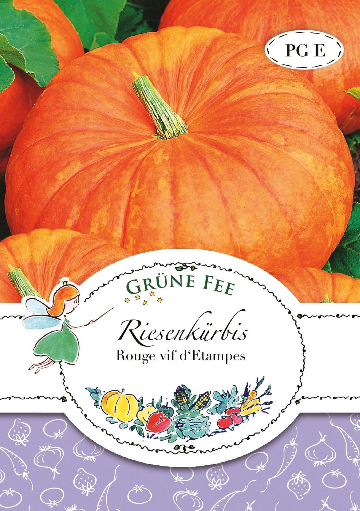 Grüne Fee Kürbis Rouge vif d´Etampes