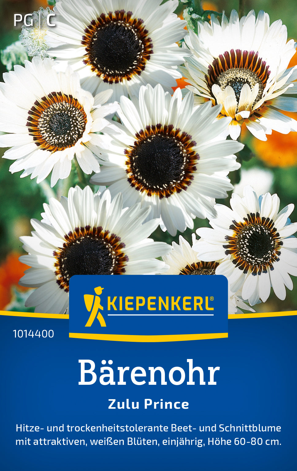 Kiepenkerl Bärenohr Zulu Prince