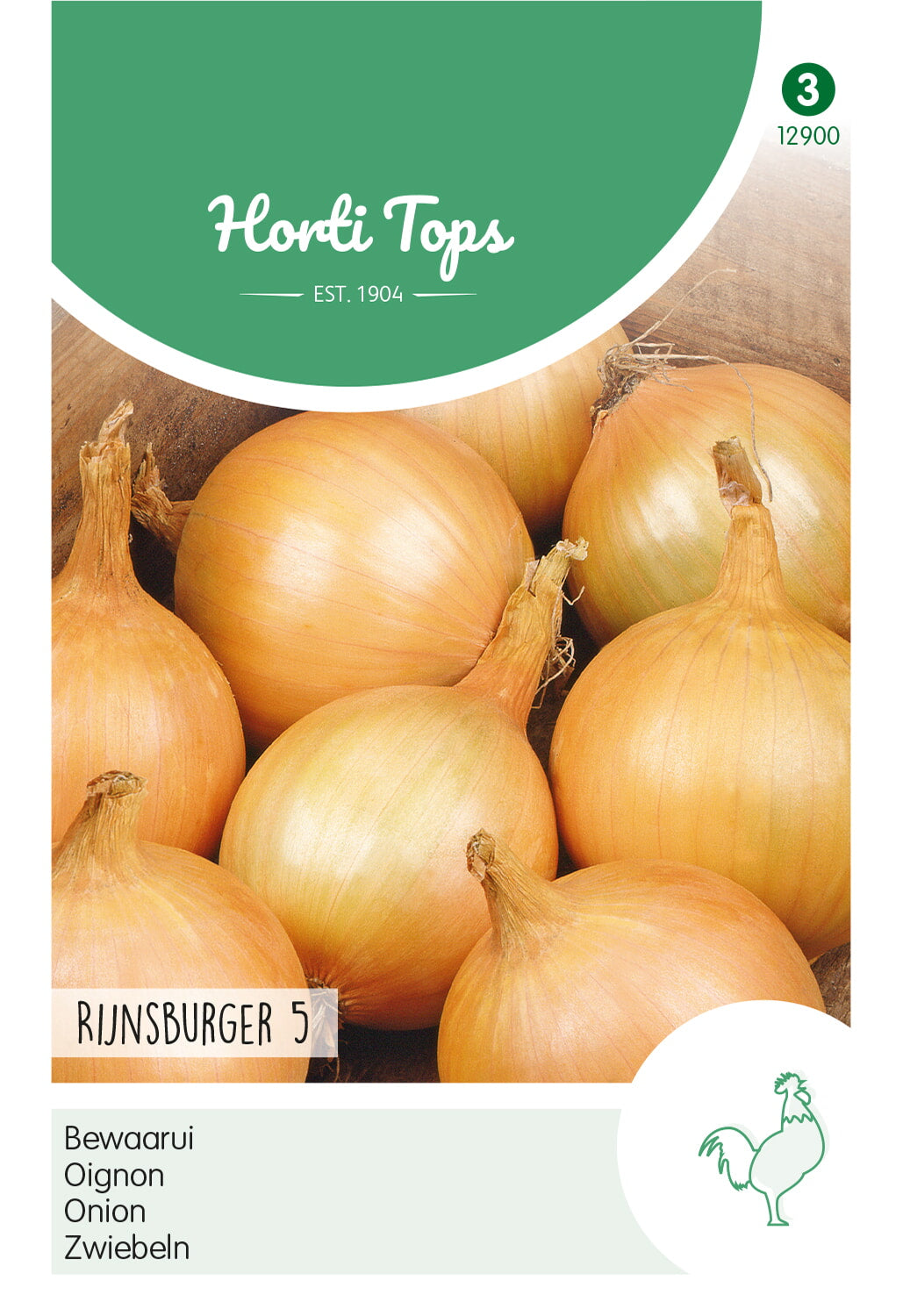 Horti Tops Zwiebel Rijnsburger 5