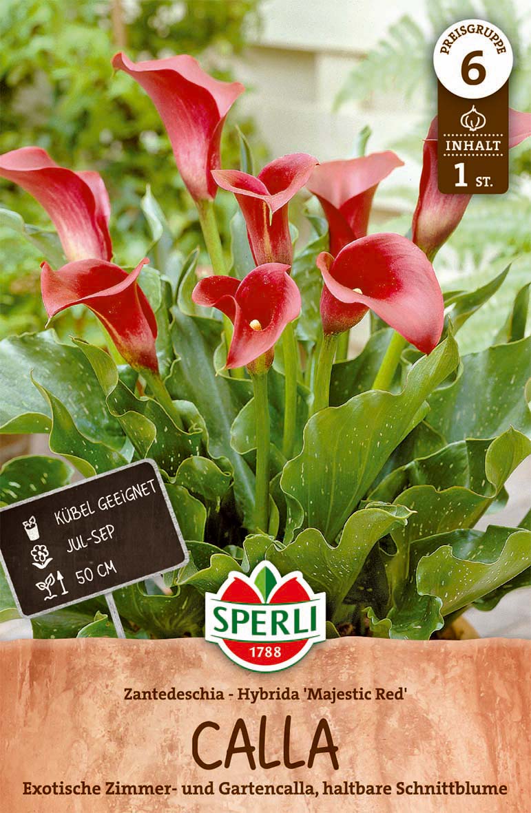 SPERLI Calla Calla Majestic Red