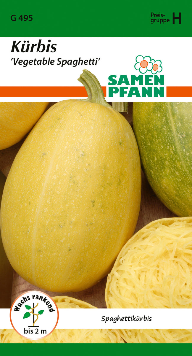 Samen Pfann | Krbis Vegetable Spaghetti | 8 Pflanzen | MHD: 01/2028 |  Hochwertige Samen und Saatgut  Caipi GmbH