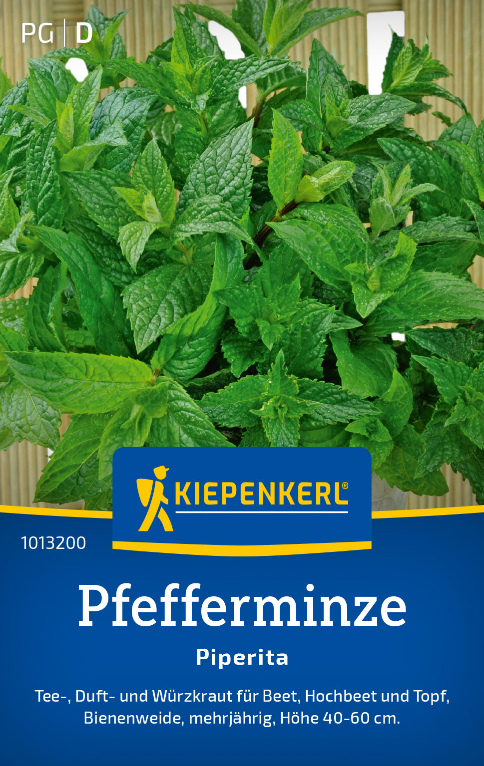 Kiepenkerl Pfefferminze Piperita