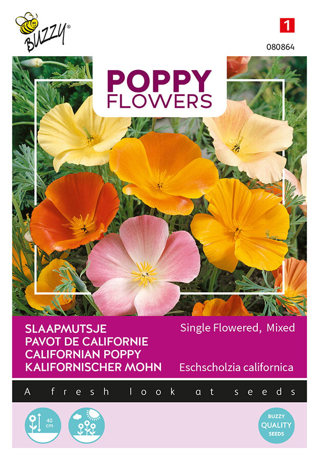 Buzzy Seeds Kalifornischer Mohn