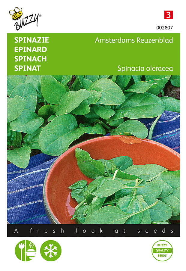Buzzy Seeds Spinat Amsterdams Reuzenblad scharfsamig