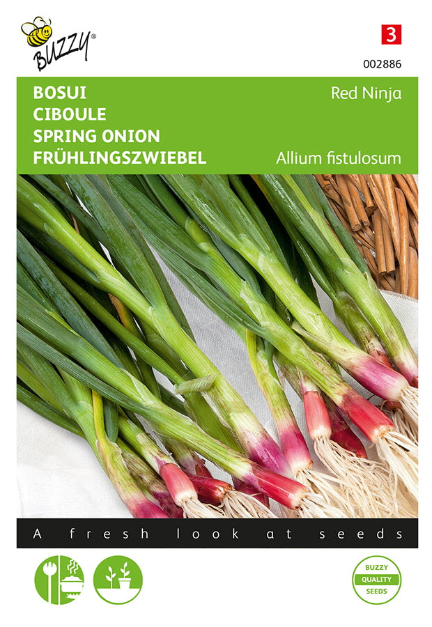 Buzzy Seeds Frühlingszwiebel Red Ninja