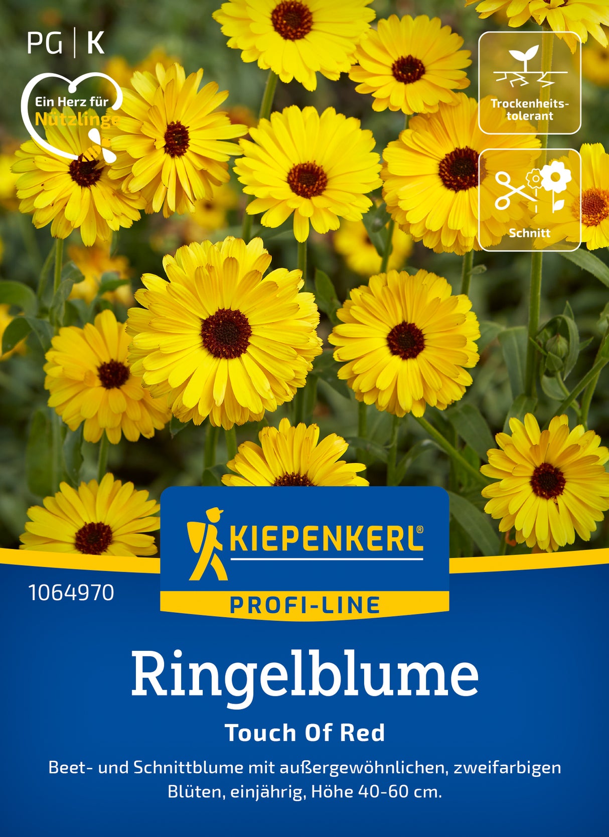 Kiepenkerl Ringelblumen Touch Of Red
