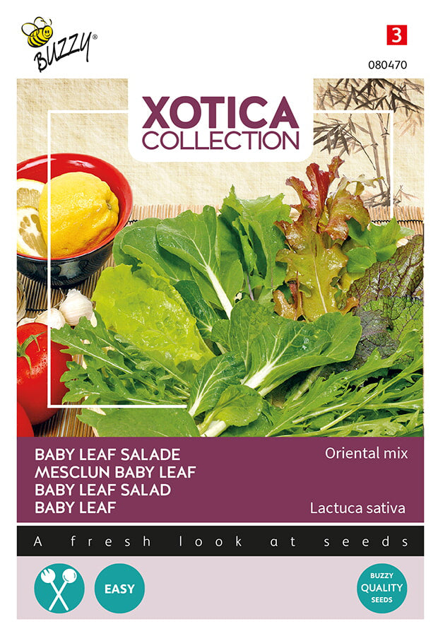 Buzzy Seeds Baby Leaf Salat Oriental Mischung