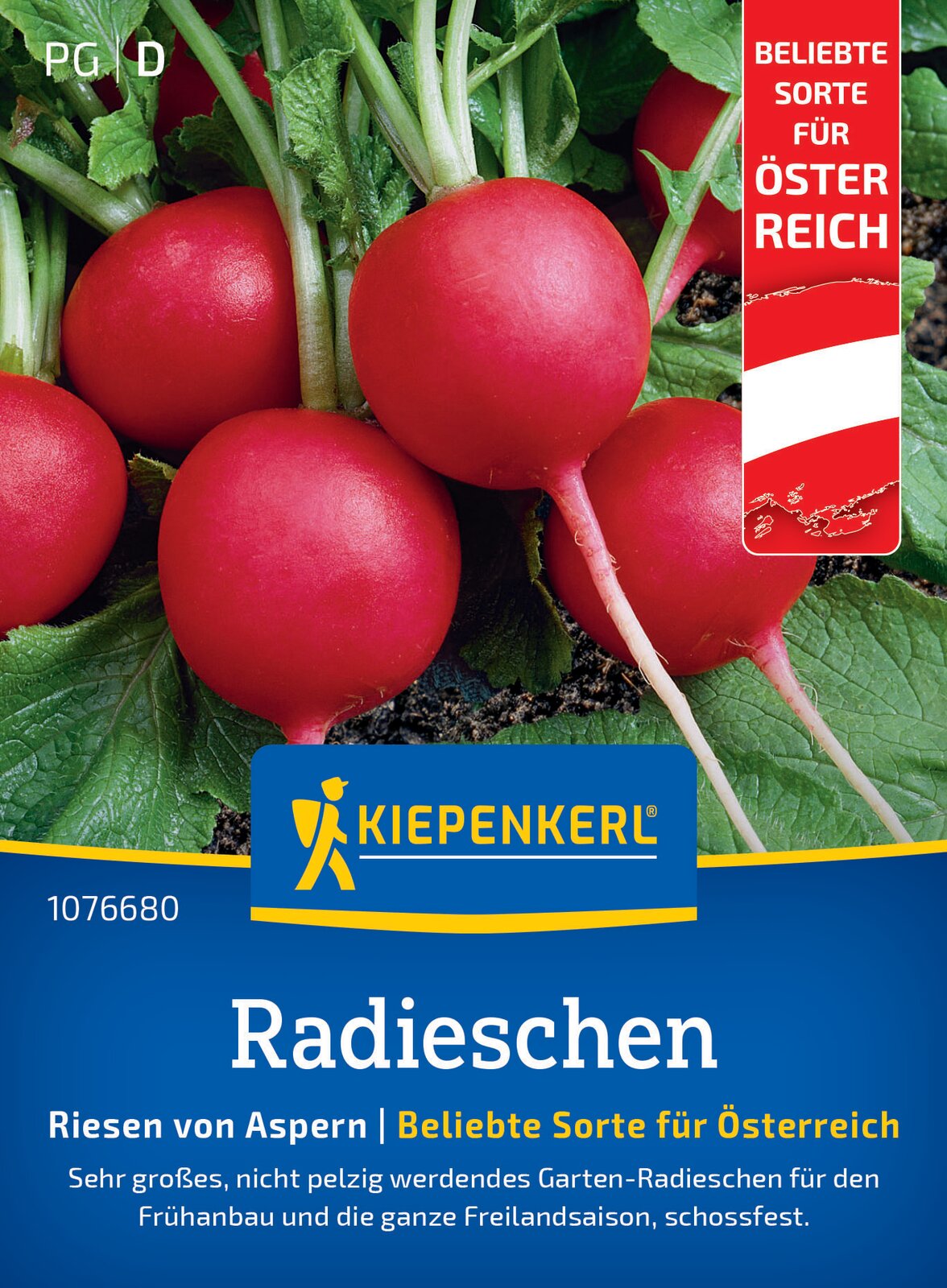 Kiepenkerl Radies Riesen von Aspern Österreich Sorte