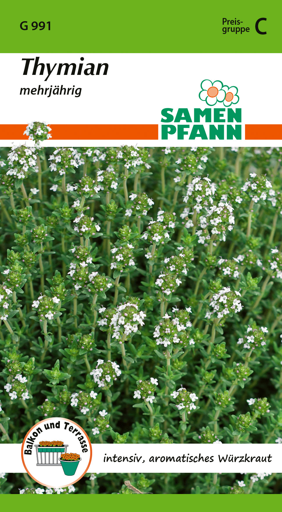 Samen Pfann Thymian Mehrjährig