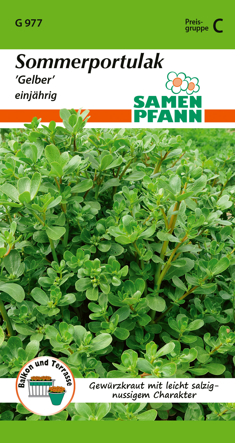 Samen Pfann Sommerportulak Gelber einjährig