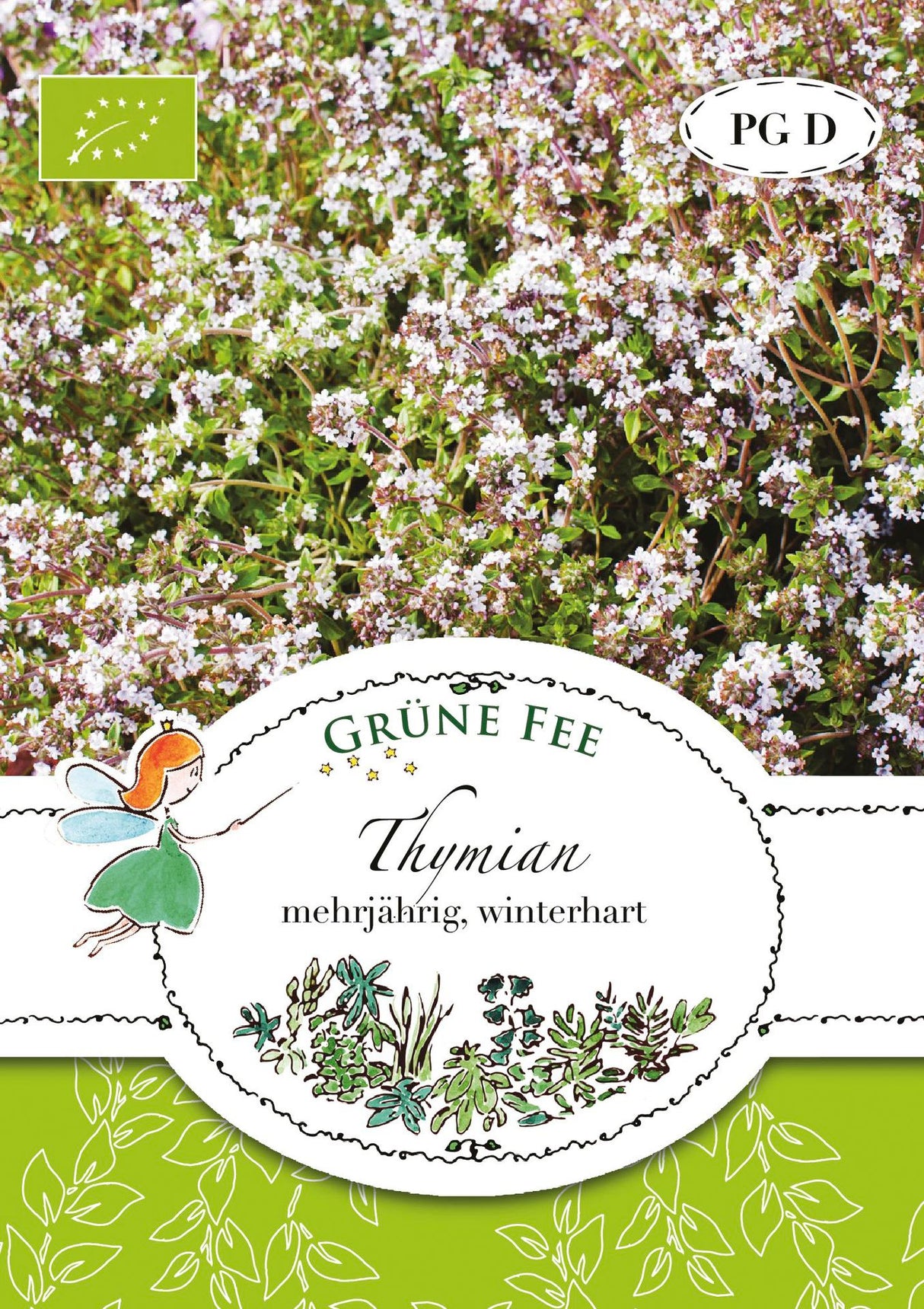 Grüne Fee Thymian Deutscher Winter