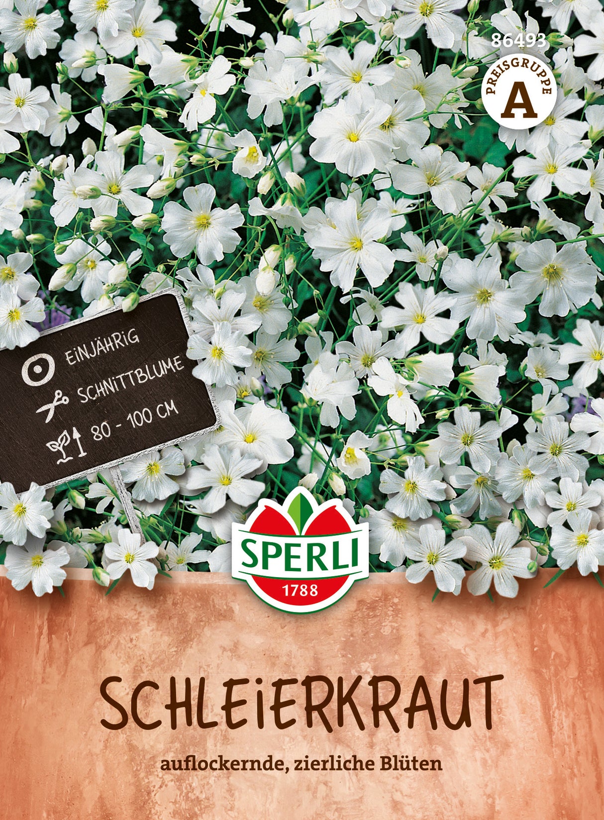 SPERLI Schleierkraut