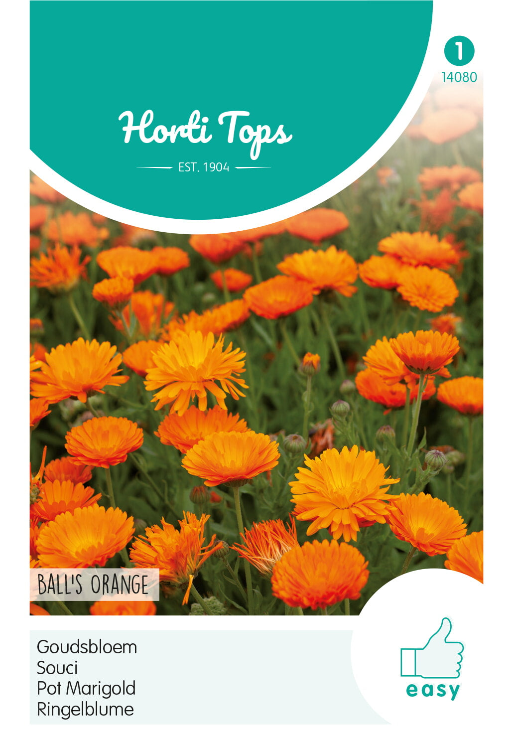 Horti Tops Ringelblume Gefüllte Ball's Orange