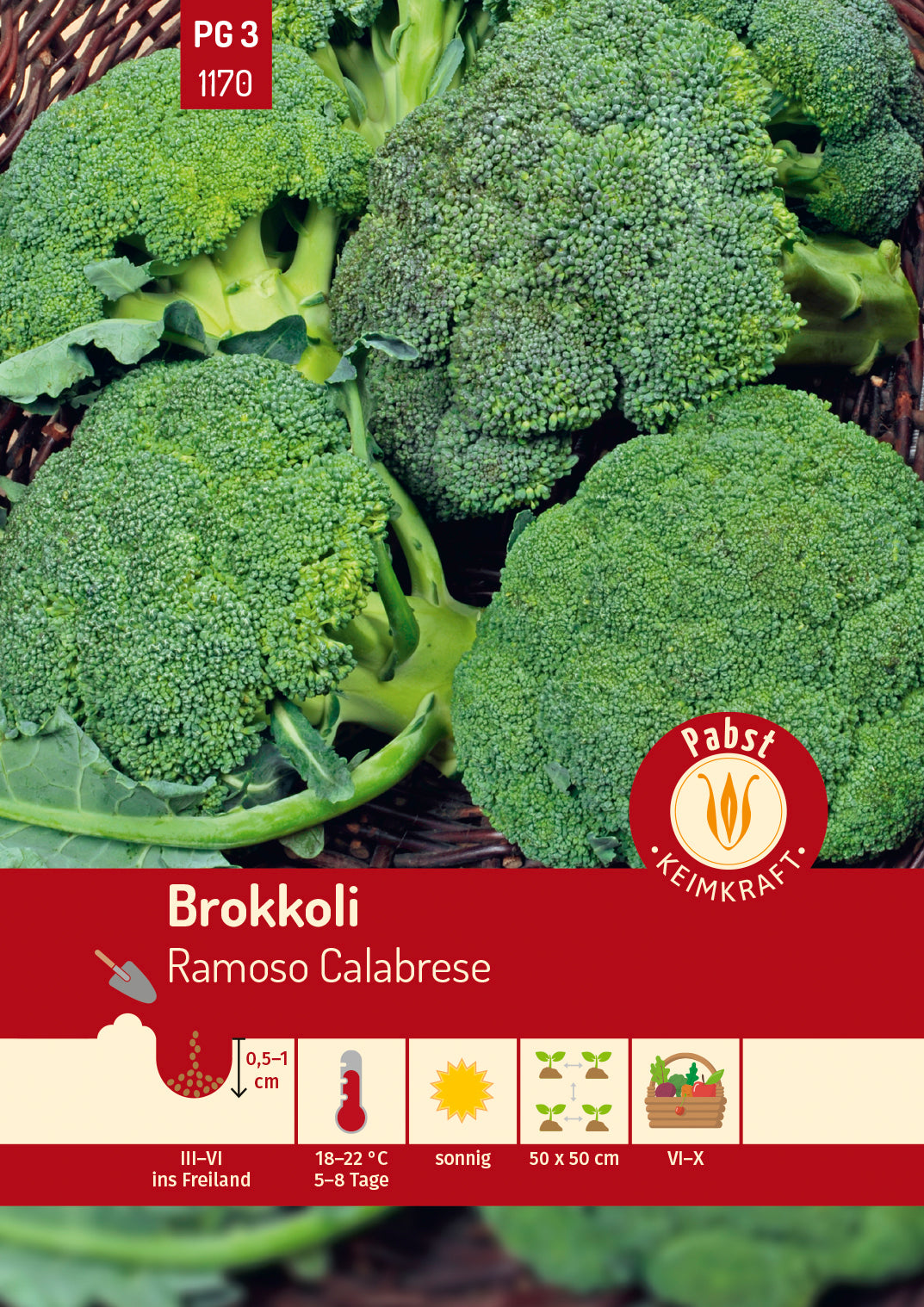 Pabst Keimkraft Brokkoli Ramoso Calabrese