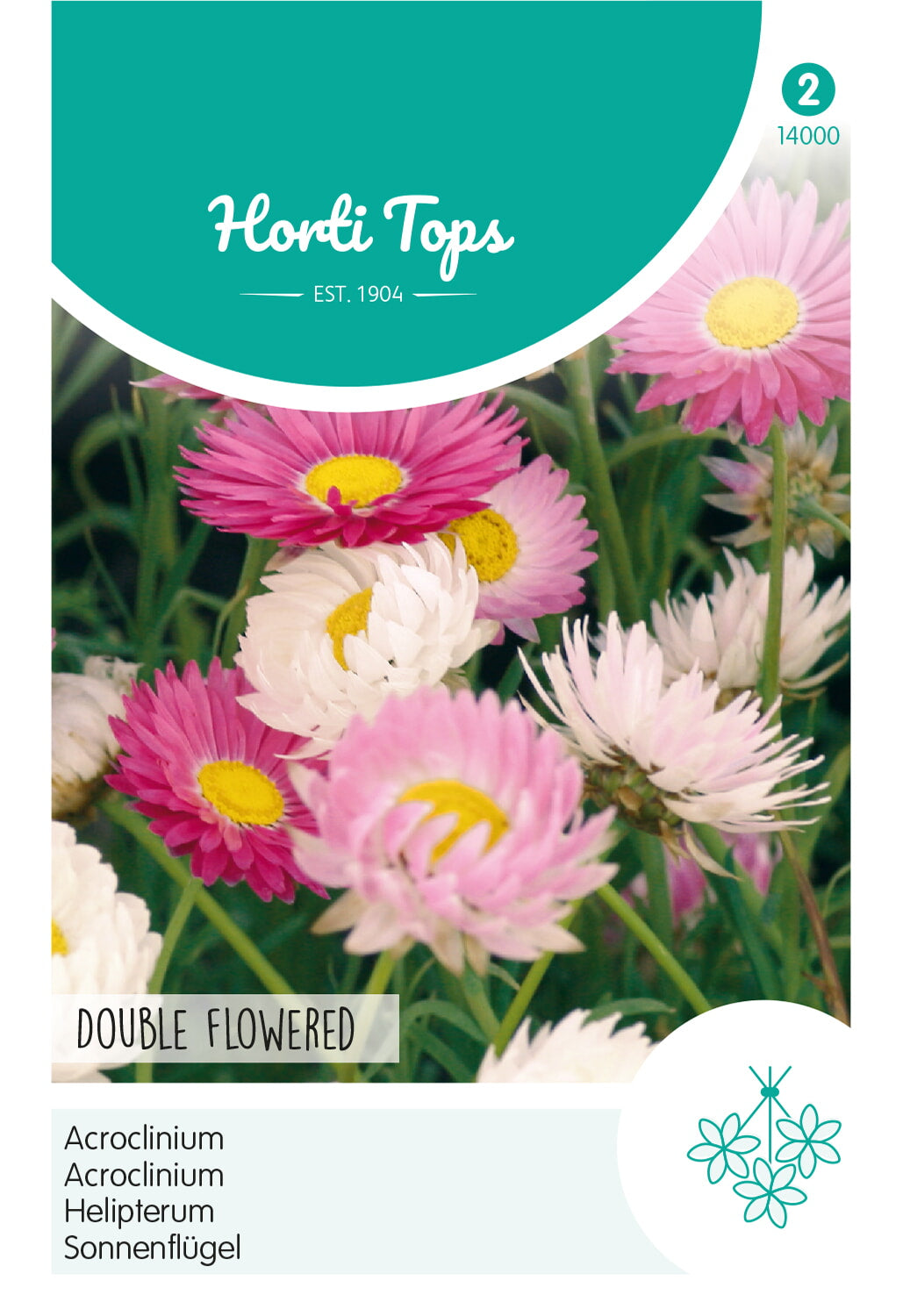 Horti Tops Strohblume Roseum Gefüllte Mischung