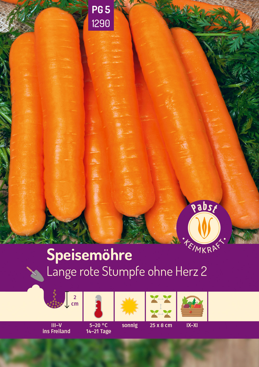 Pabst Keimkraft Möhren Lange rote stumpfe ohne Herz 2