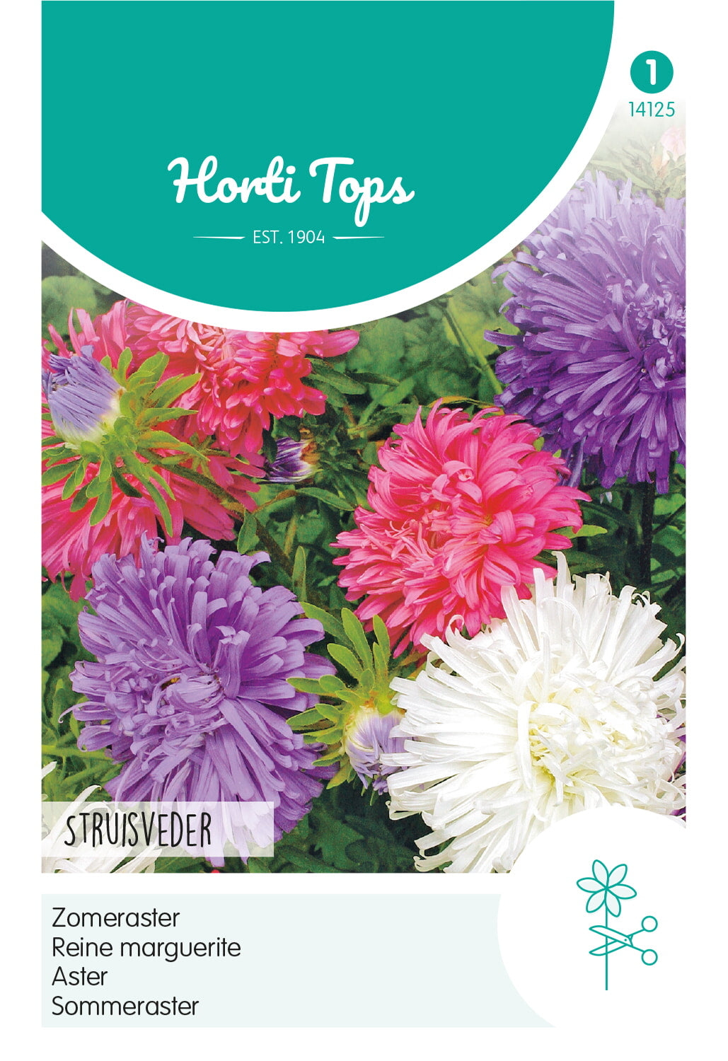 Horti Tops Sommeraster Straußenfeder Mischung