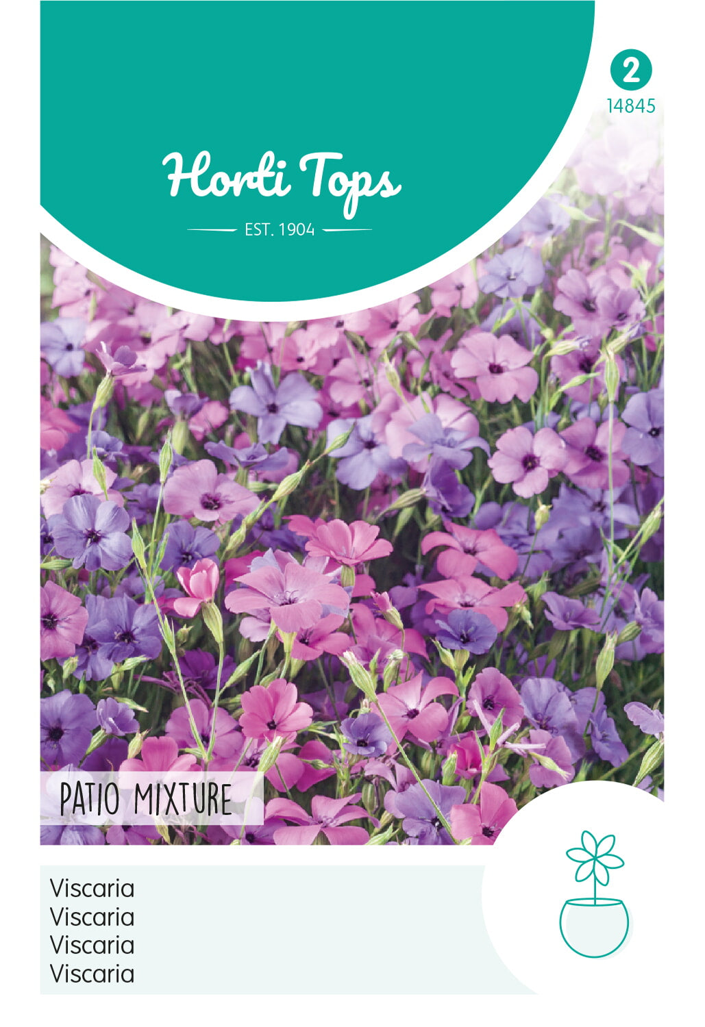 Horti Tops Seidenpflanze Viscaria Patio Mixture