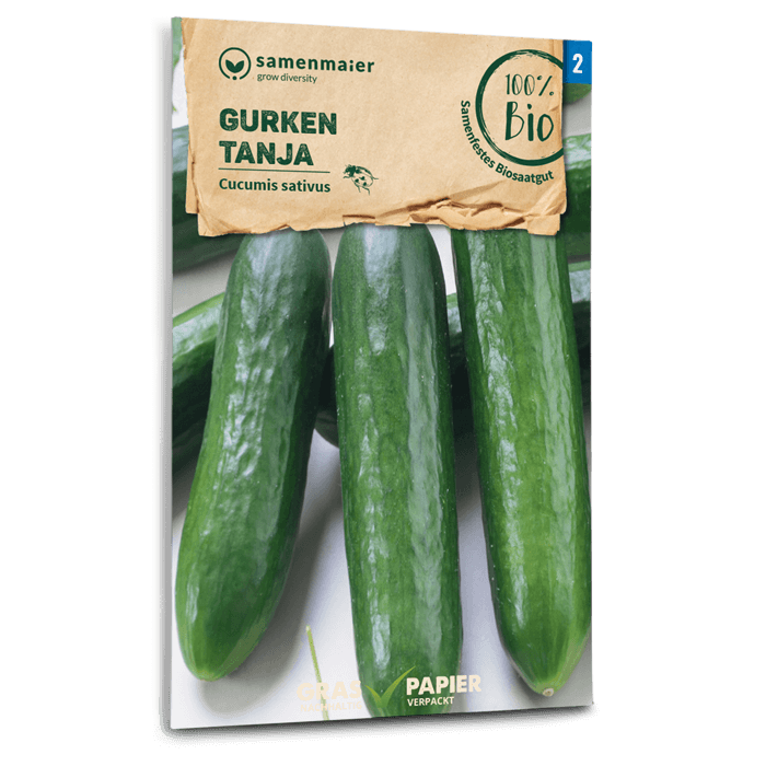 Samen Maier BIO Salatgurke Tanja