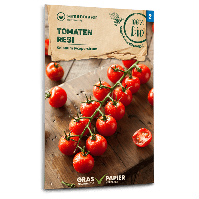Samen Maier BIO Cocktailtomaten Resi
