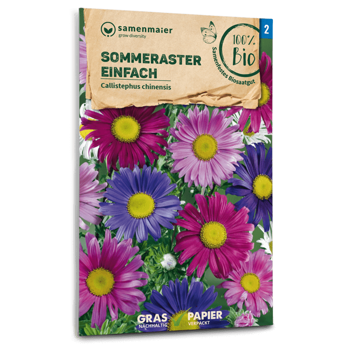 Samen Maier BIO Sommeraster einfache Mischung