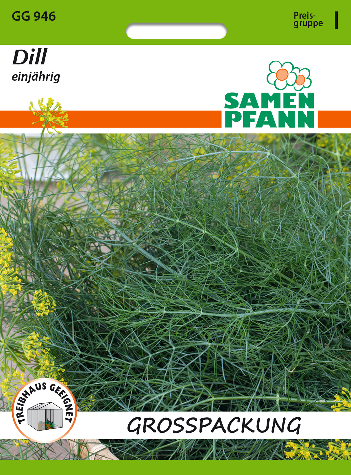Samen Pfann Dill Einjährig Vorteilspackung