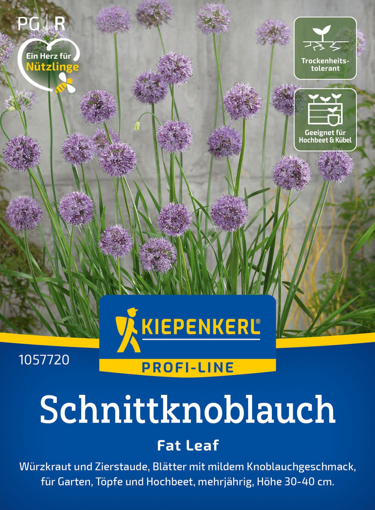 Kiepenkerl Schnittknoblauch Fat Leaf