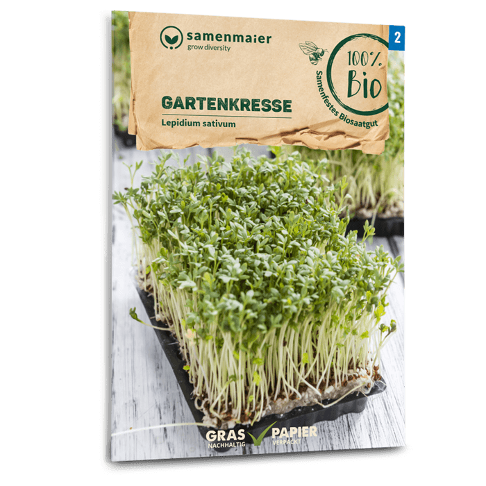 Samen Maier BIO Gartenkresse einjährig Großformat