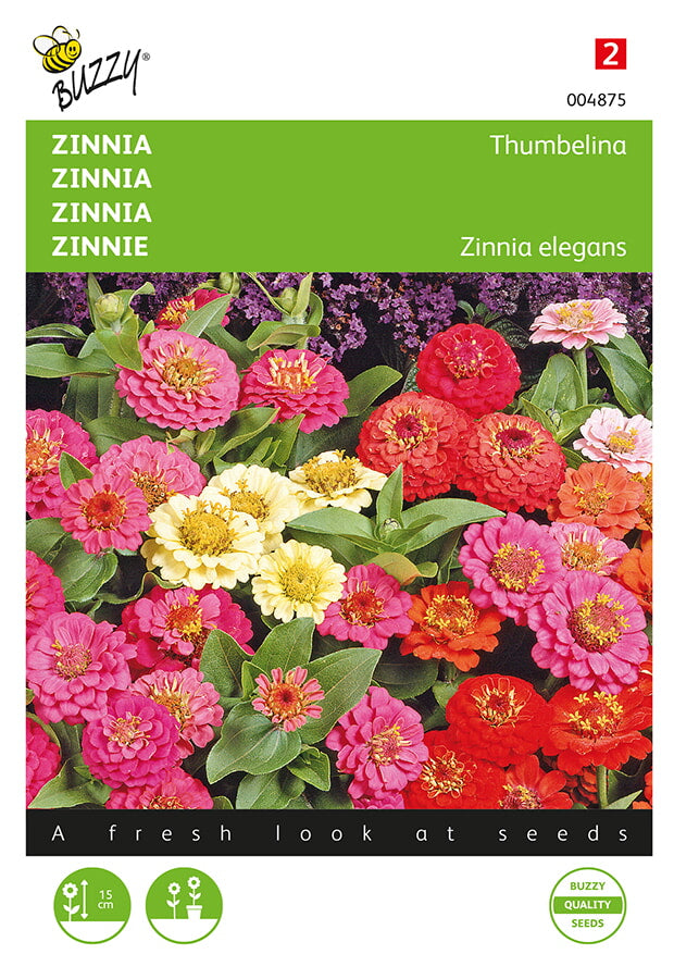 Buzzy Seeds Zinnien Thumbelina Mischung