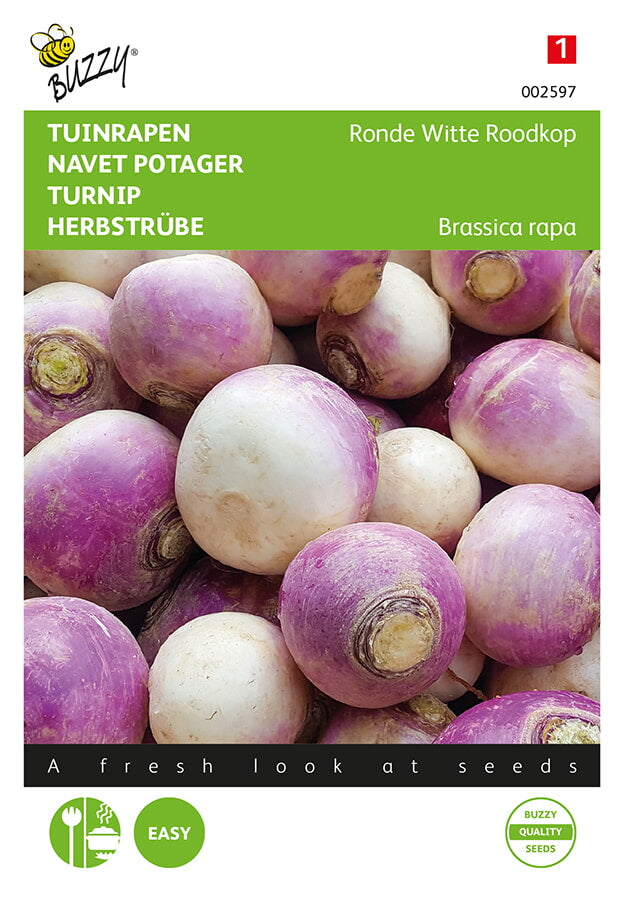 Buzzy Seeds Herbstrüben Runde weiße rotköpfige