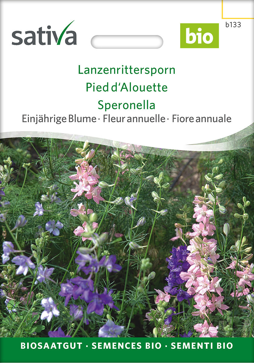 Sativa Lanzenrittersporn Lanzenrittersporn