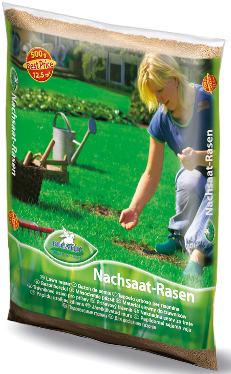 Pegasus Nachsaat-Rasen, 0,5 kg