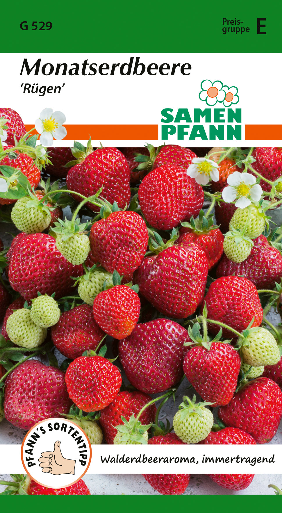 Samen Pfann Monatserdbeere Rügen