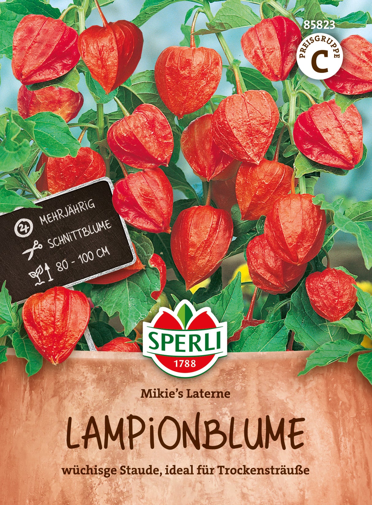 SPERLI Lampionblume Mikie's Laterne