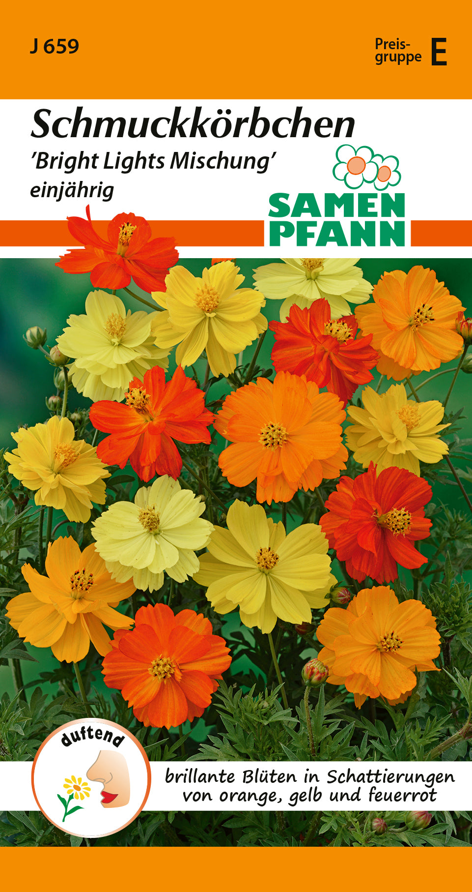 Samen Pfann Bright Lights Mischung Schmuckkörbchen