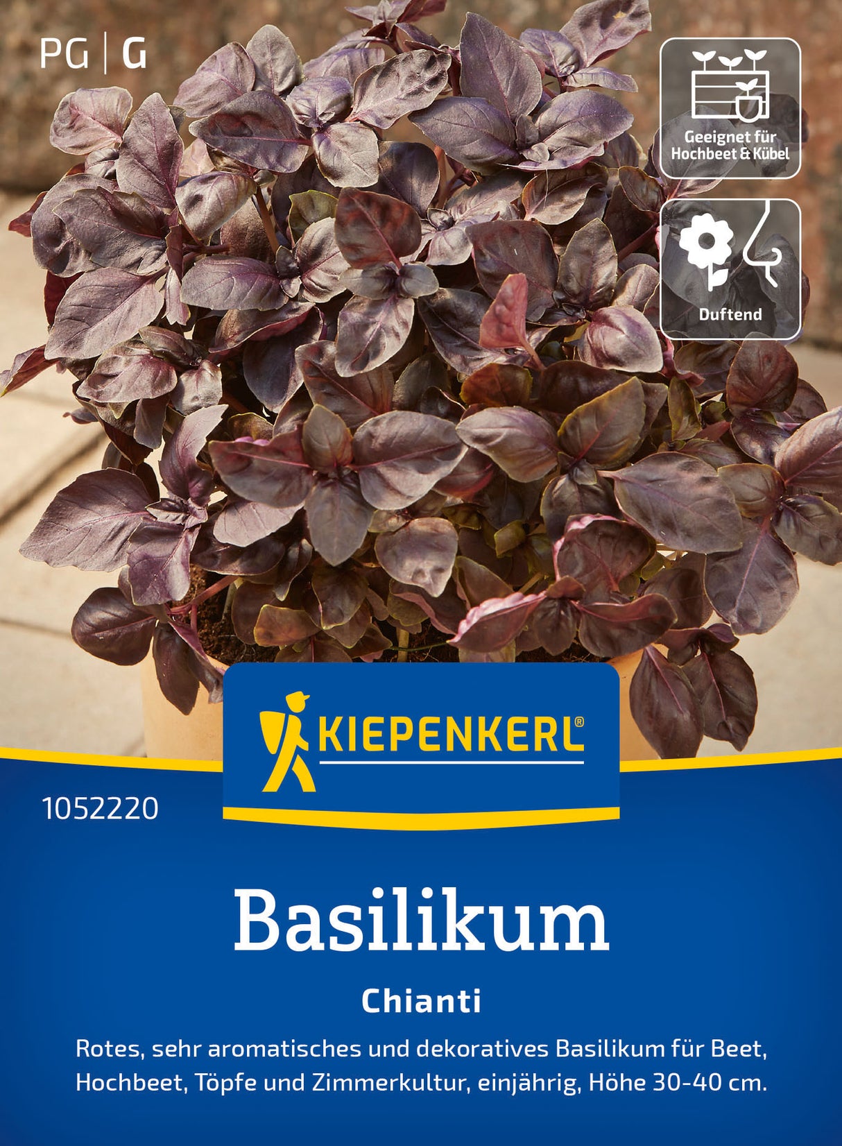 Kiepenkerl Basilikum Chianti