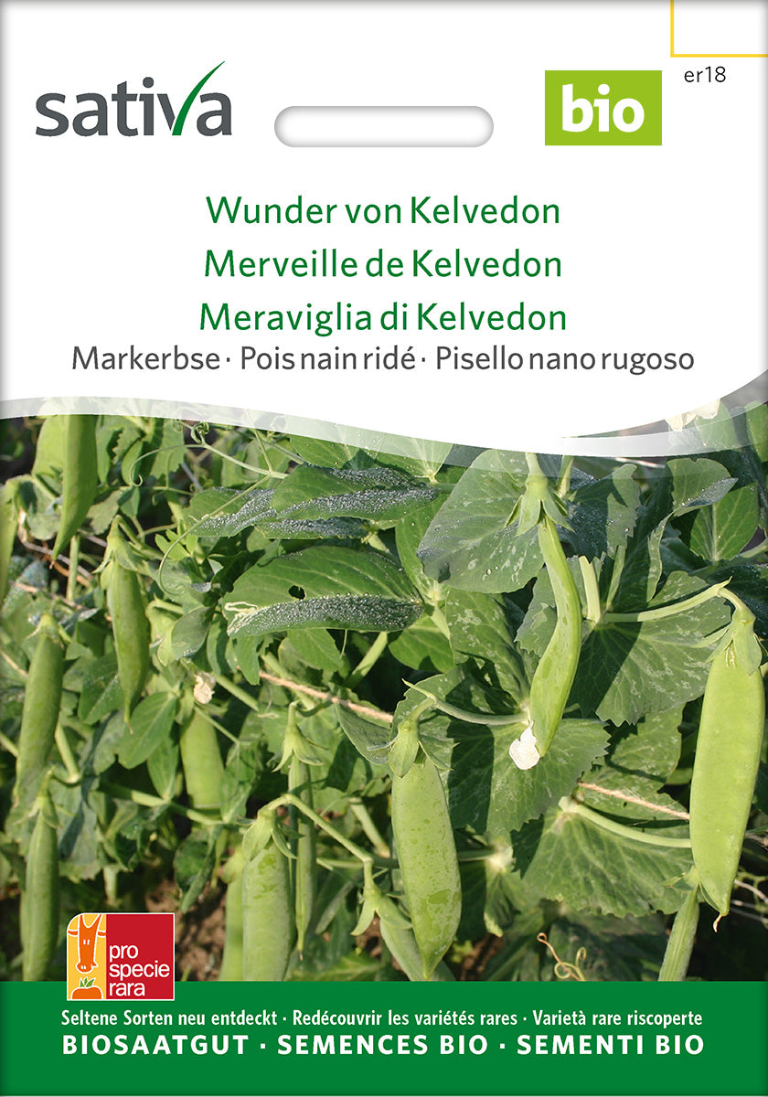 Sativa BIO Markerbse Wunder von Kelvedon