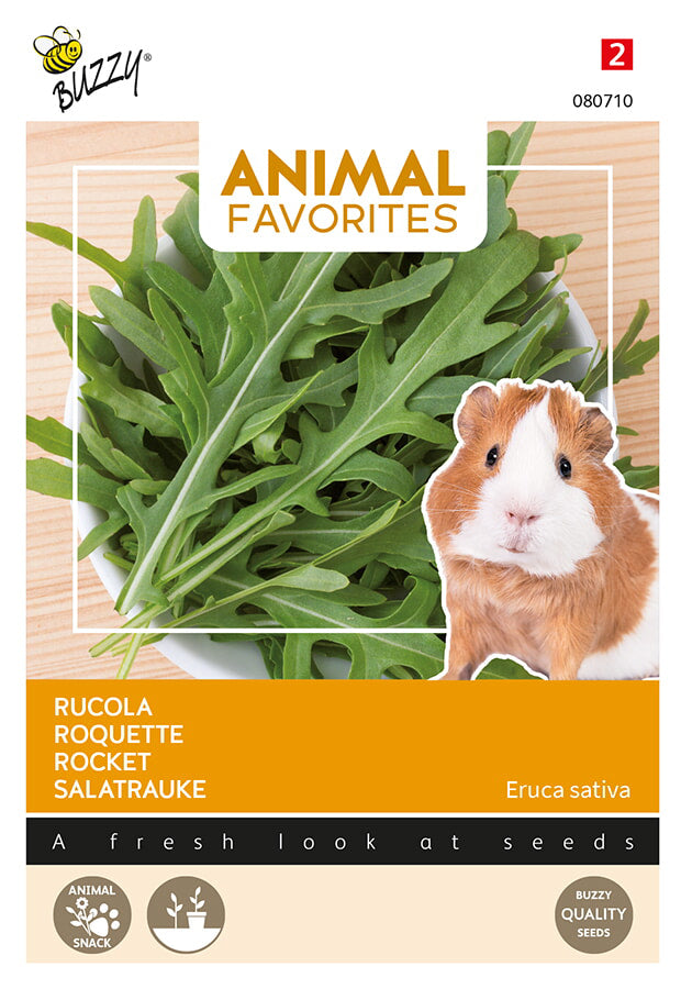 Buzzy Seeds Salatrauke