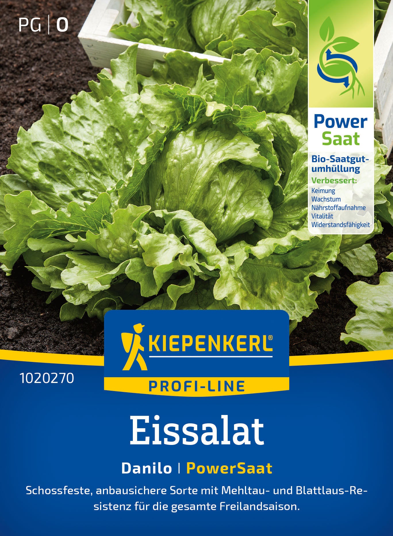 Kiepenkerl Eisbergsalat Danilo Pillensaat
