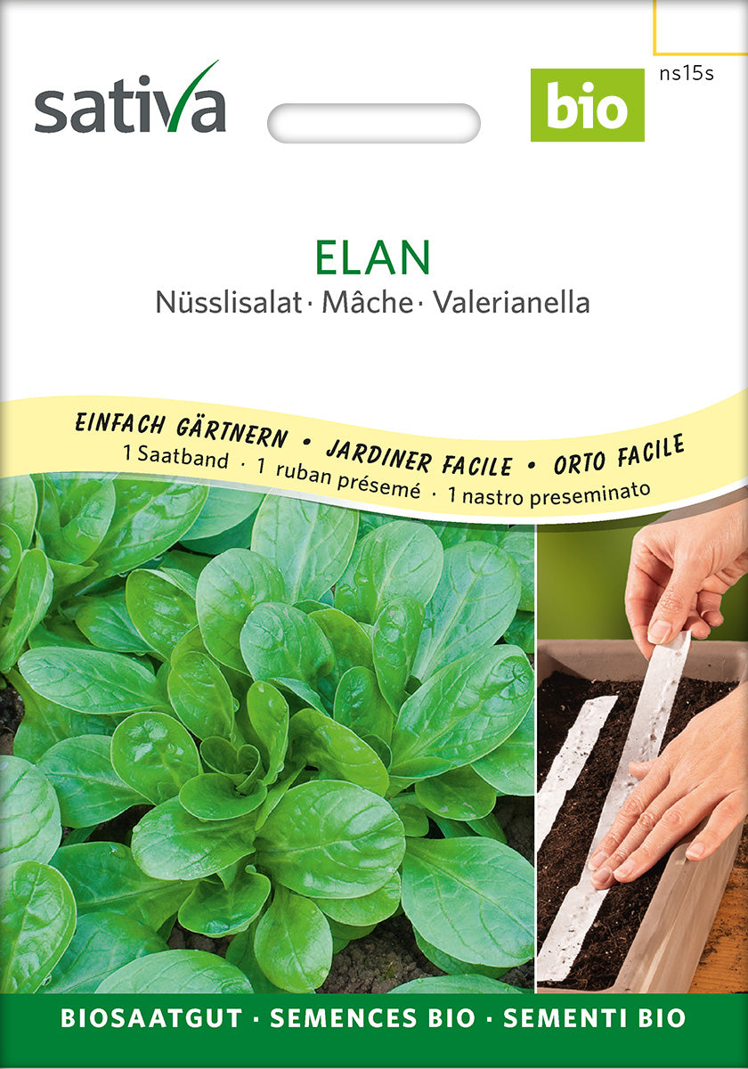 Sativa Nüsslisalat Elan Saatband
