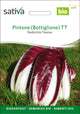 Sativa Radicchio Treviso Pintone (Bottiglione) TT