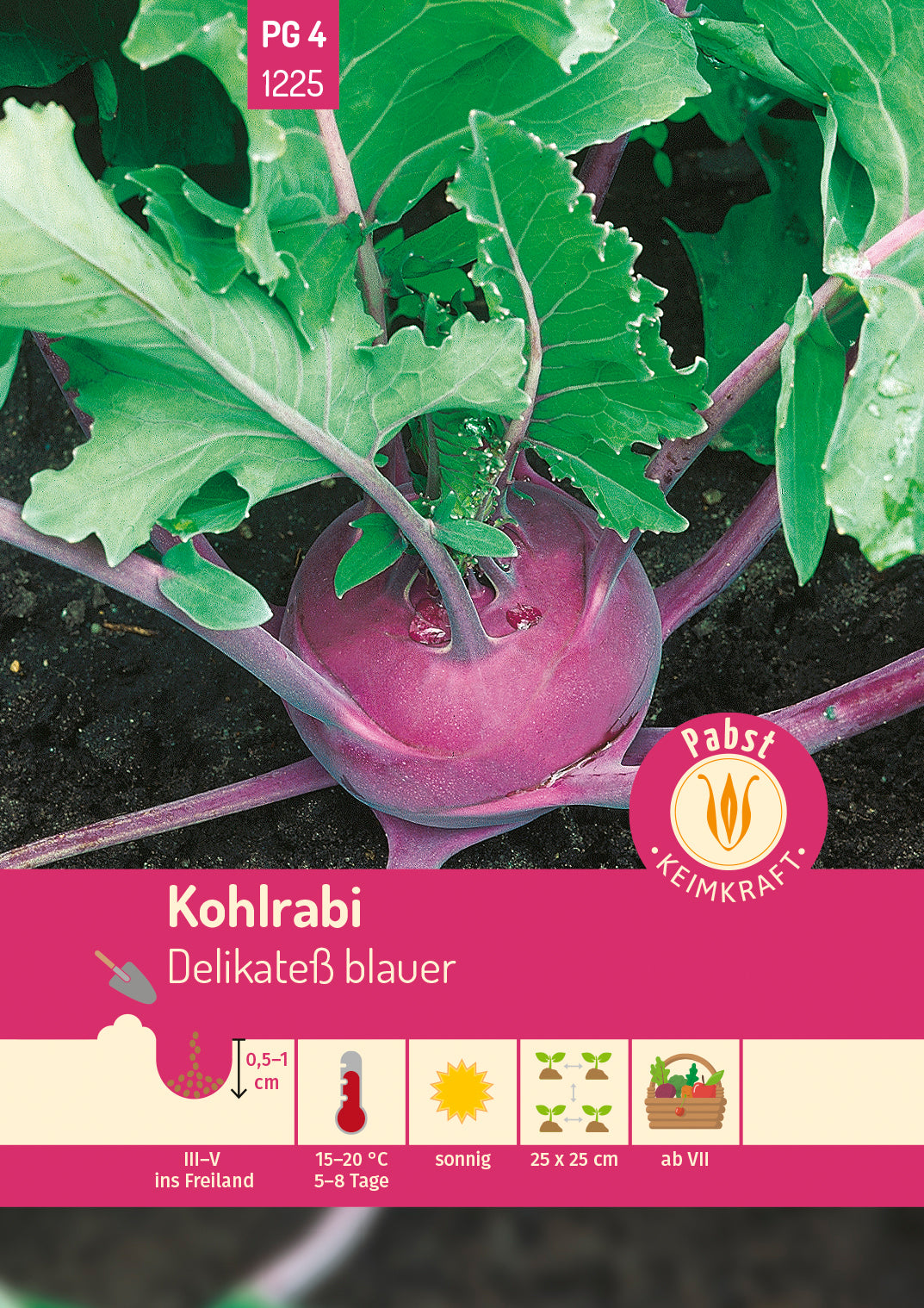 Pabst Keimkraft Kohlrabi Delikateß blauer