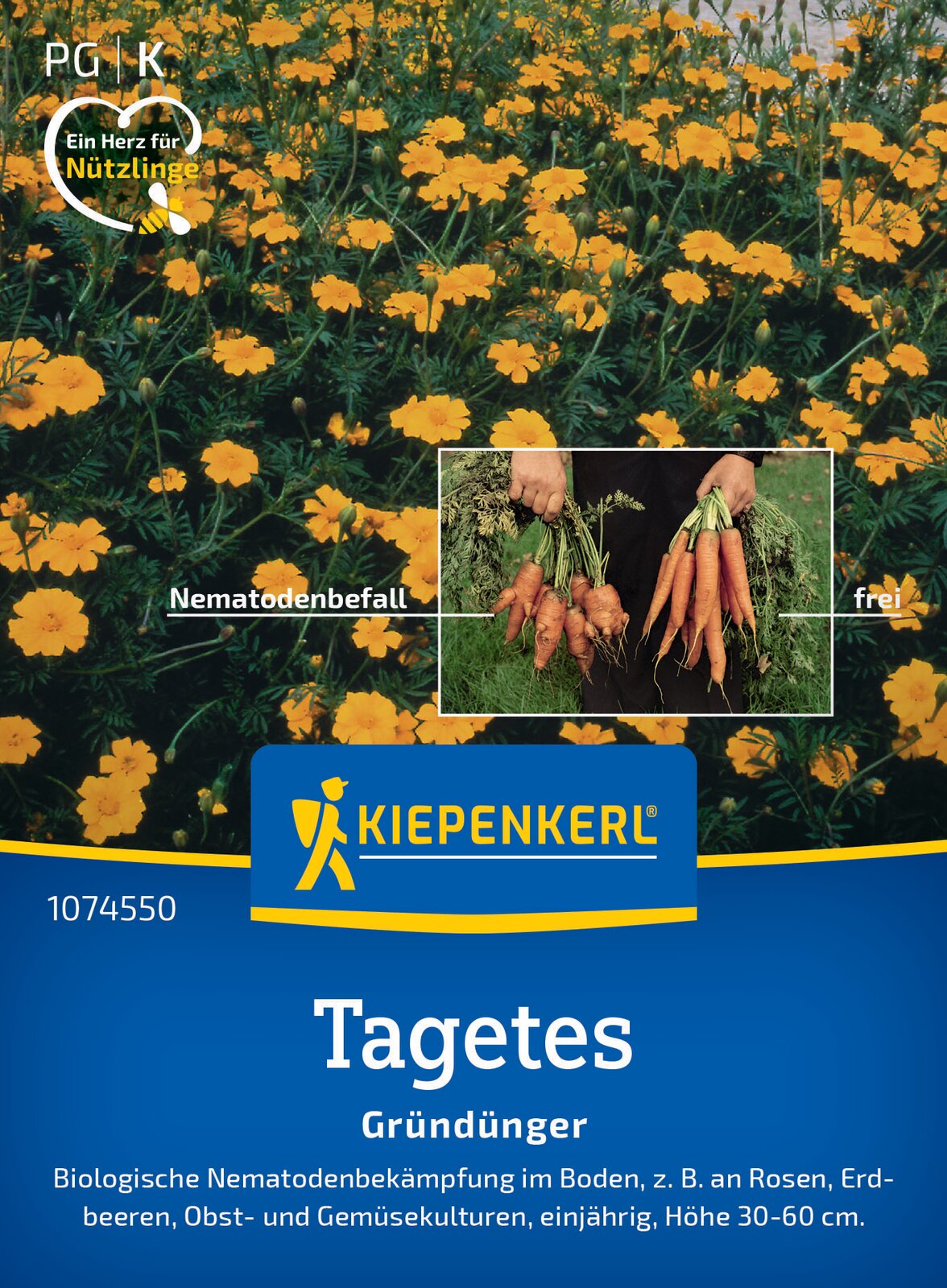 Kiepenkerl Gründünger Nematodenkiller, Tagetes Single Gold Loses Saatgut