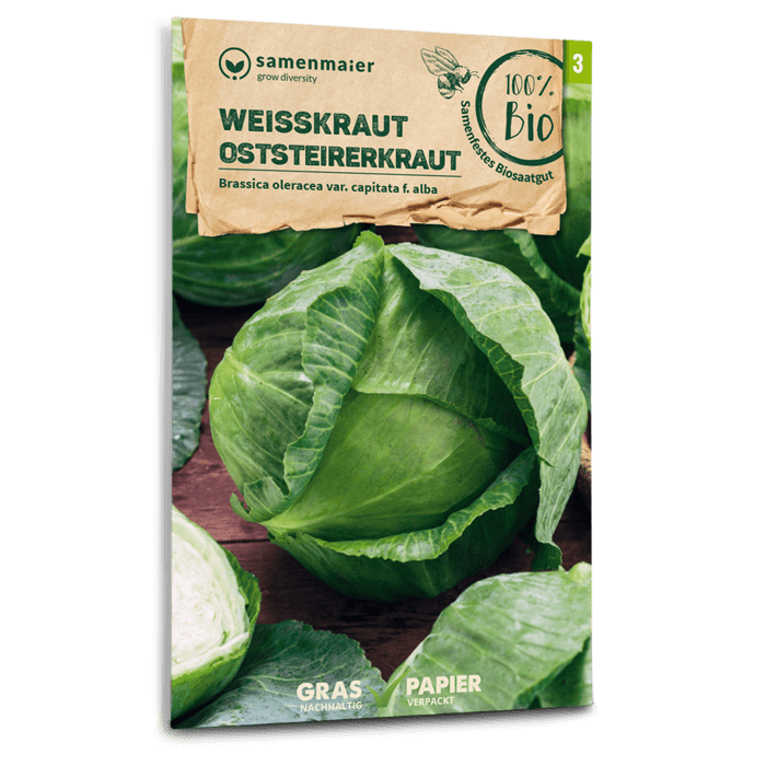 Samen Maier BIO Weißkohl Oststeirerkraut