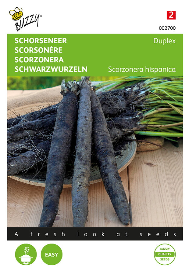 Buzzy Seeds Schwarzwurzel Duplex nichtschiessende
