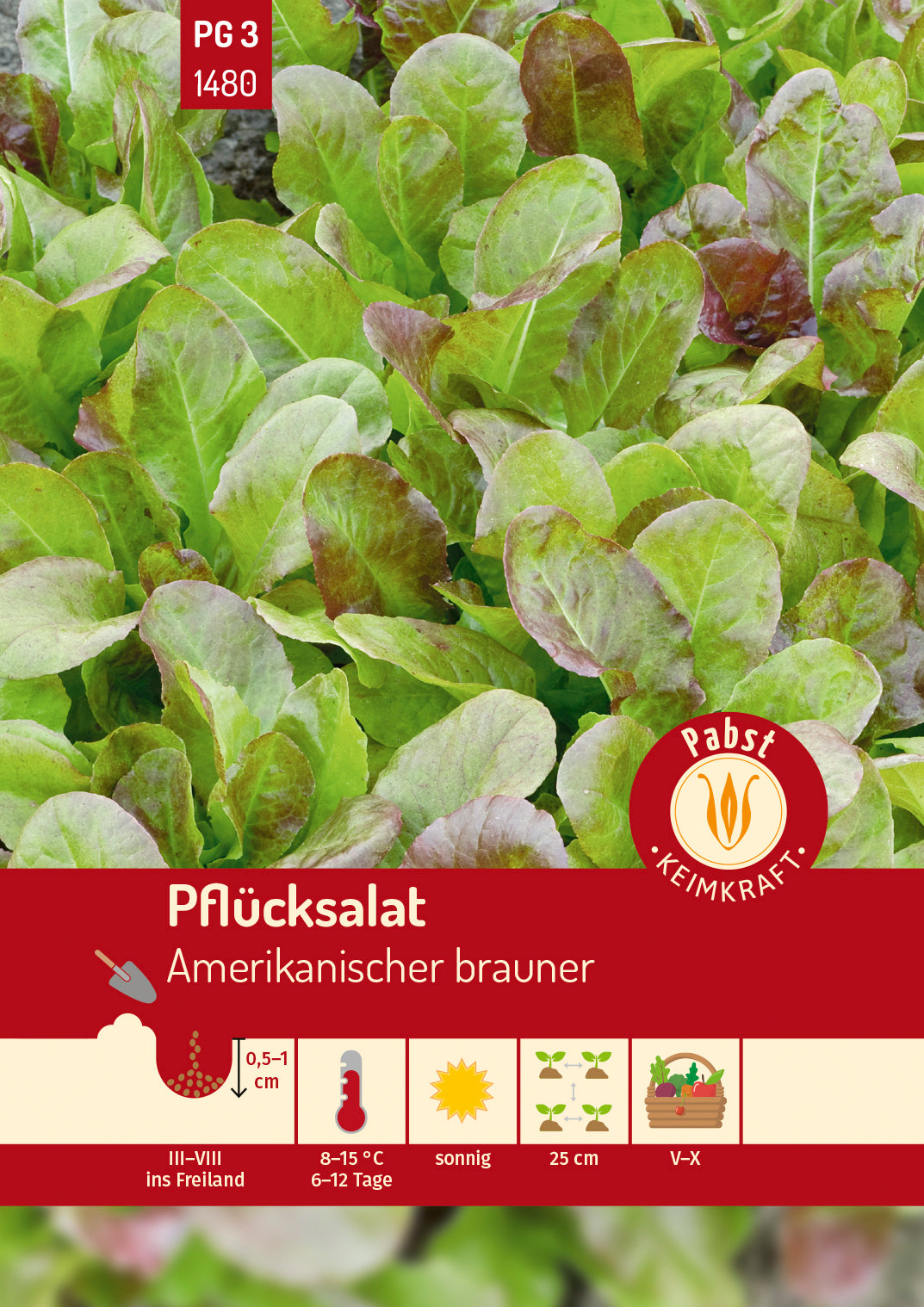 Pabst Keimkraft Pflück- & Schnittsalat Amerikanischer brauner